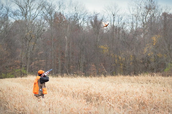 Pheasant Hunting with Trekker Upland Vest